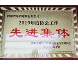 2019年度協(xié)會工作先進集體